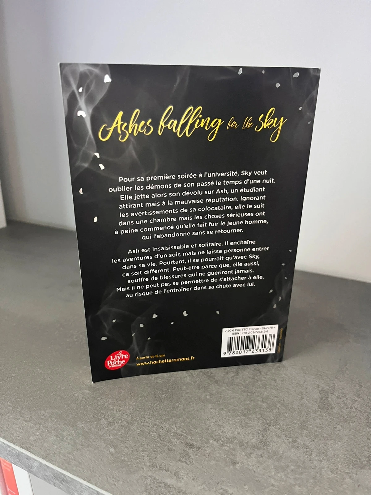 Ashes falling for the sky - Nine Gorman - Mathieu Guibé – photo 3
